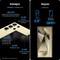 Смартфон Samsung Galaxy S24 Ultra 12/512, Titanium Gold - фото 19684